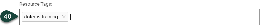 Showing a tag example in the Tags field.