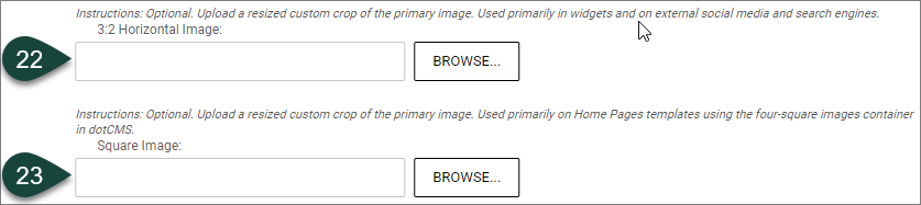 Shows the location of the 3:2 Horizontal Image and Square Image fields.