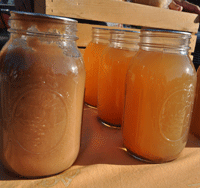 Dewitt Farmers Market, June 2014