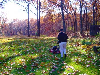 Person mulching lawn.