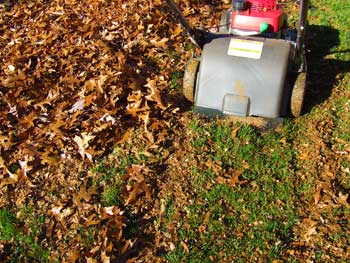 Leaf mulcher in action.