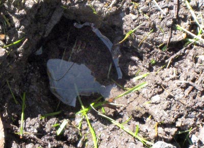 Saturated soil with clay underneath