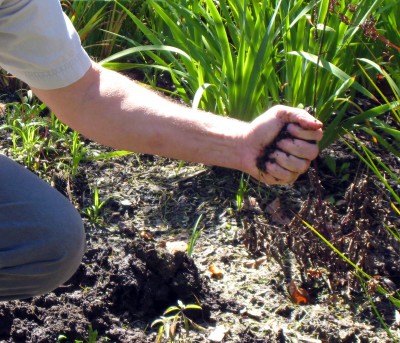 Compressing soil into a ball.