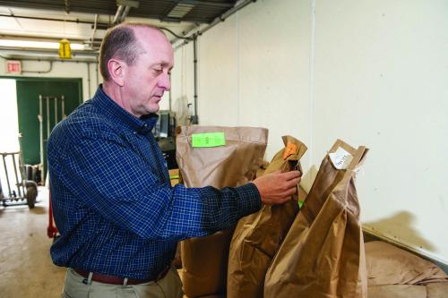 Dale Rozeboom, MSU professor of animal science and Extension specialist for swine nutrition production management, examines content labels for feed on the MSU swine farm. He said research is leading to a variety of techniques to promote growth and improved health in livestock without the use of antibiotics.