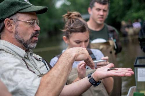 Daniel Hayes, MSU fisheries scientist