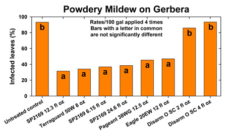 powdery mildew