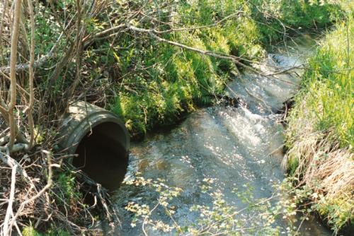 Nature water stream