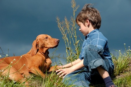 Young boy training his dog.