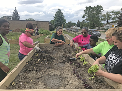 Children weeding gardens