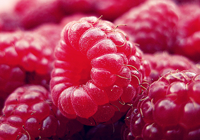 Raspberry