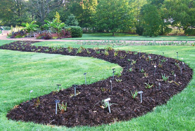 Compost leaf bed