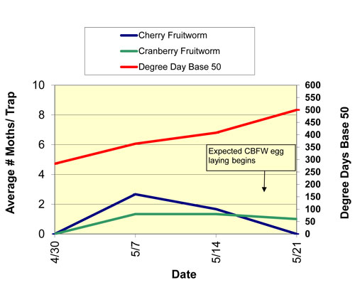 Fruitworm graph