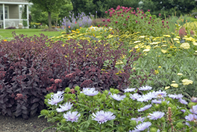 Display gardens