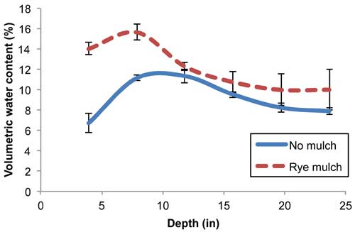 Effects of mulch on soil moisture