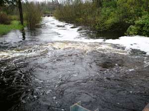 Flooded Baldwin River