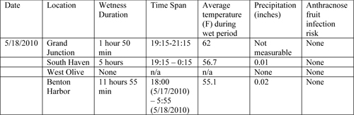 Anthracnose fruit rot infection model