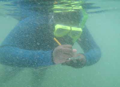 Camper drawing underwater