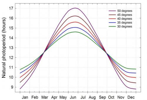 DLI photoperiod
