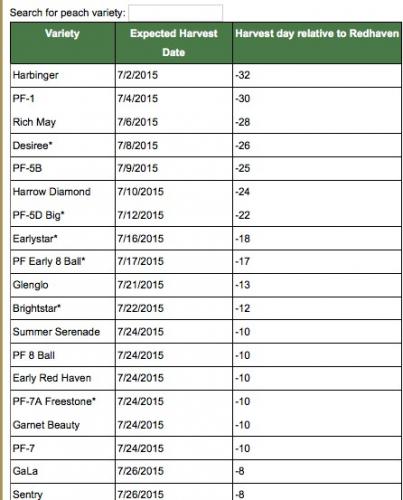 peach harvest estimates