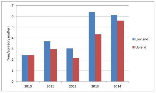 Chart comparing upland and lowland switchgrass variety.