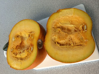 Pumpkin