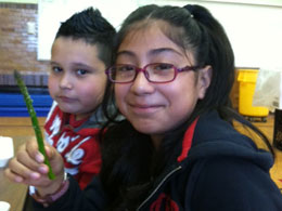 Student holding up asparagus stalk