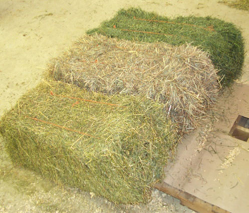 Hay bales