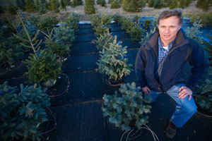 MSU AgBioResearch, Bert Cregg