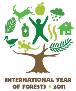 International Year of Forests logo