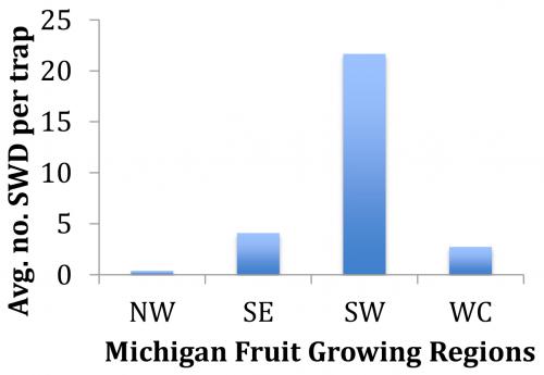 SWD graph