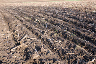 Tillage