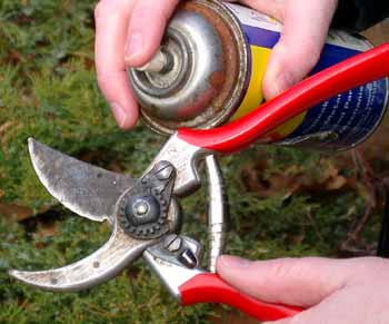 Cleaning pruners