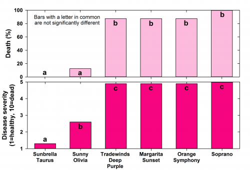 Disease severity graph