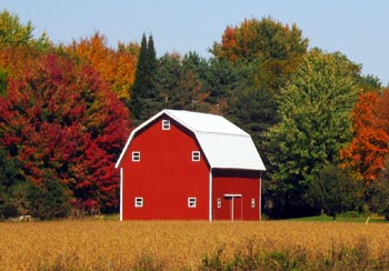 Fall color