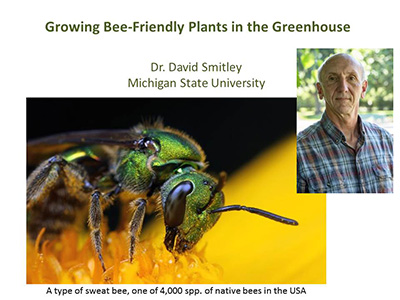 Bee Friendly webinar