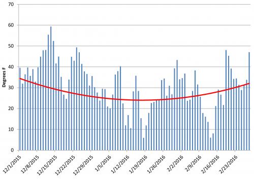 Corn flea beetle survial graph