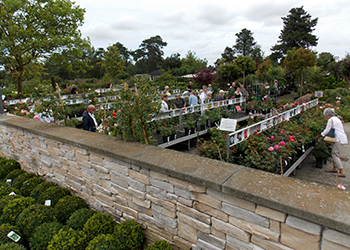 Demonstration gardens