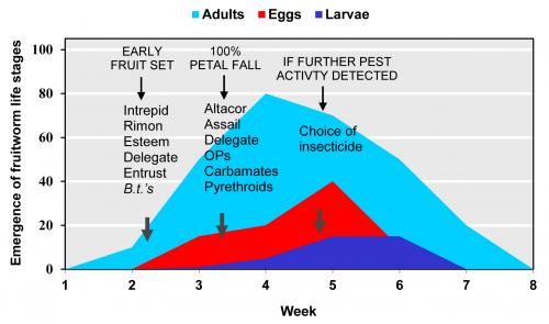 Fruitworm optimal timing