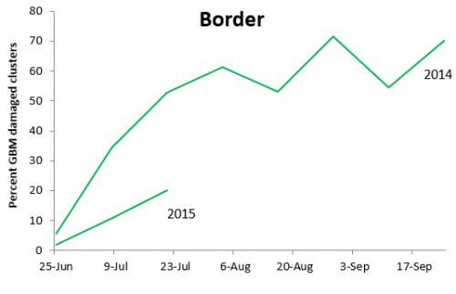 Grape berry moth damage to border graph