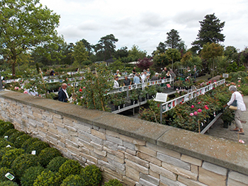 Outdoor garden center