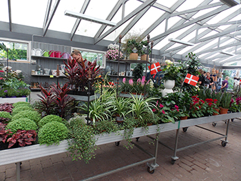 Indoor garden center