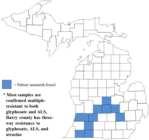 palmer amaranth distribution in michigan