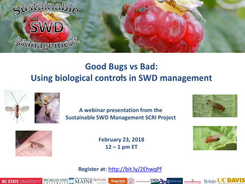 SWD Webinar flyer