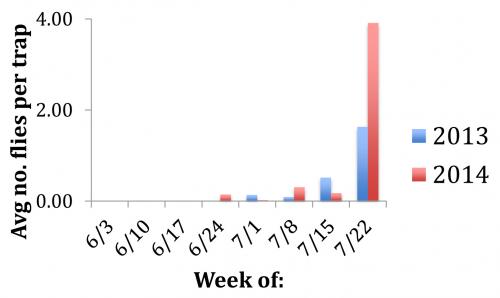 SWD report graph