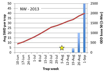 SWD trap data