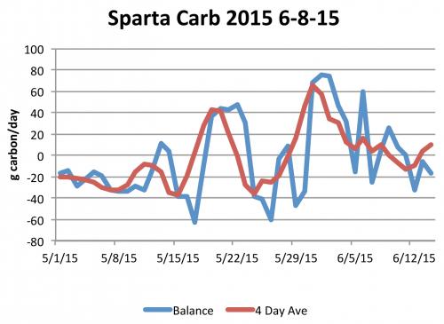 Carbohydrate Thinning Model