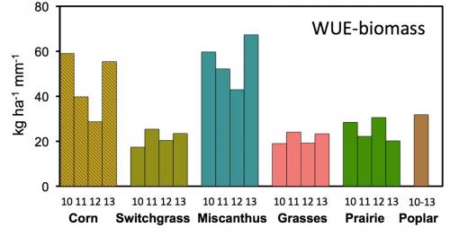 water use graph