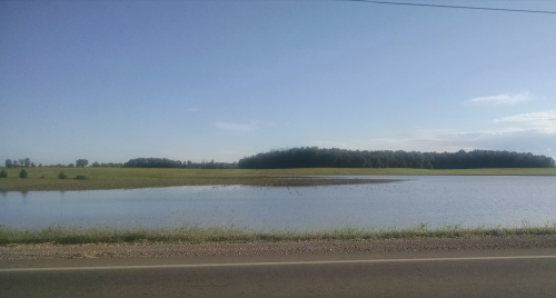 flooded farm field