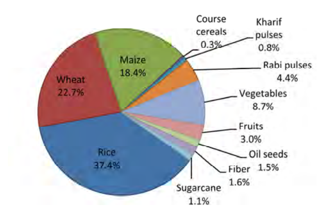 Figure 1. Percent of Area under Major Crops (2008-09